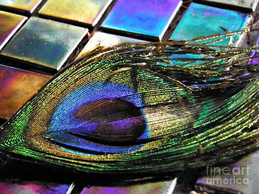 Feather Photograph - Peacock Feather on Tiles by Sarah Loft