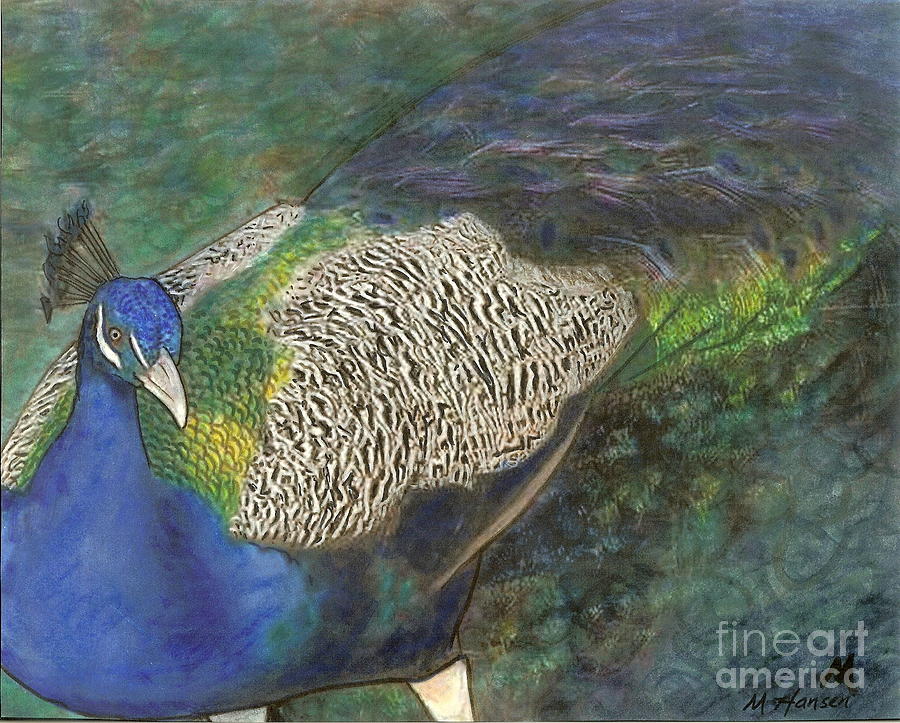 Peacock Photograph - Peacock by Mona Younavjak Hansen Peacock Photograph - Peacock by Mona Younavjak Hansen