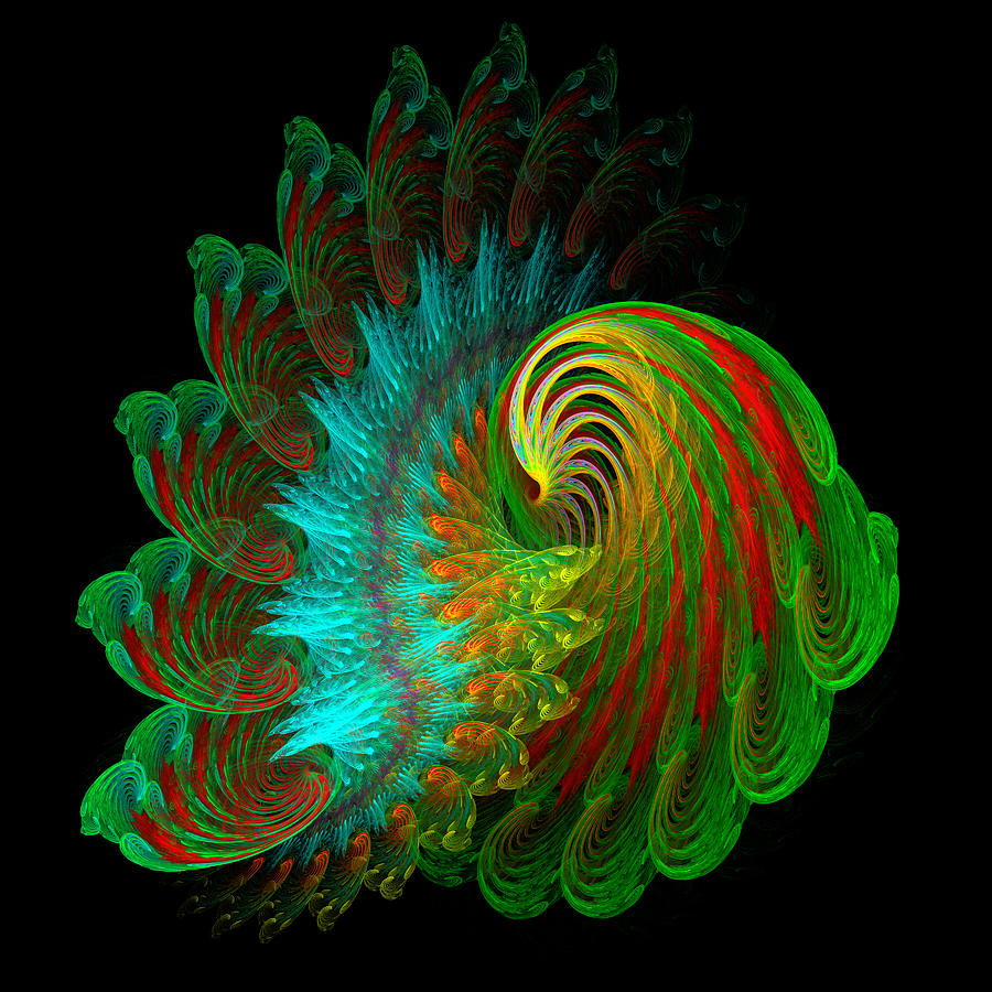 Peacock Digital Art by Rick Chapman