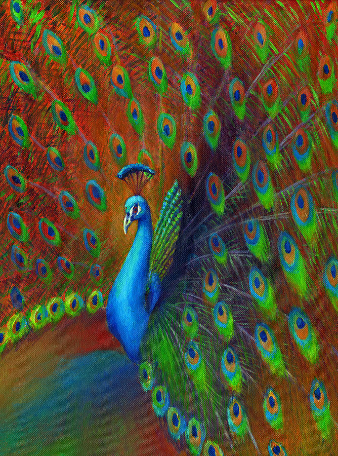 Peacock Spread Painting by Nancy Tilles