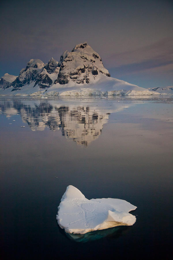 Peak On Wiencke Island Antarctic Photograph by Colin Monteath