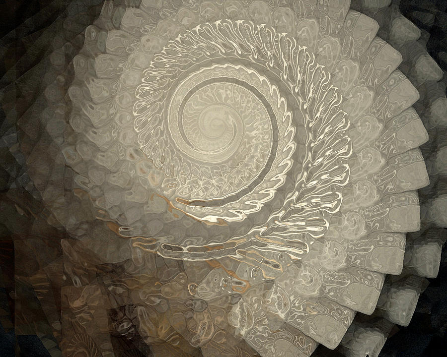 Pearly Shell Digital Art by Amanda Moore