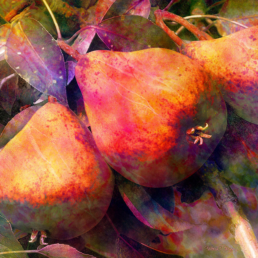 Pears Digital Art by Barbara Berney