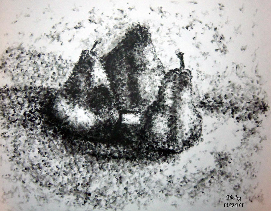 Pears Drawing by Shelley Bain