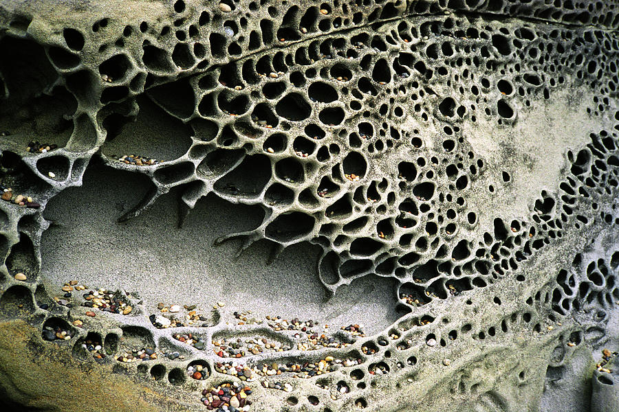 Abstract Photograph - Pebble Beach 21 by Dana Vallery Abstract Photograph - Pebble Beach 21 by Dana Vallery