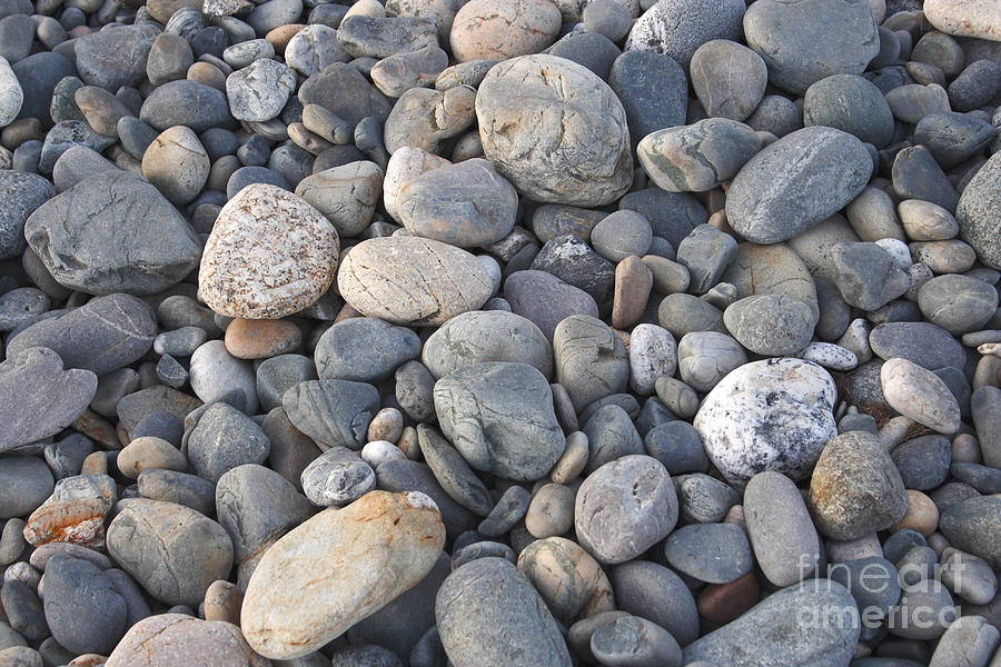Pebbles Photograph by Milena Boeva