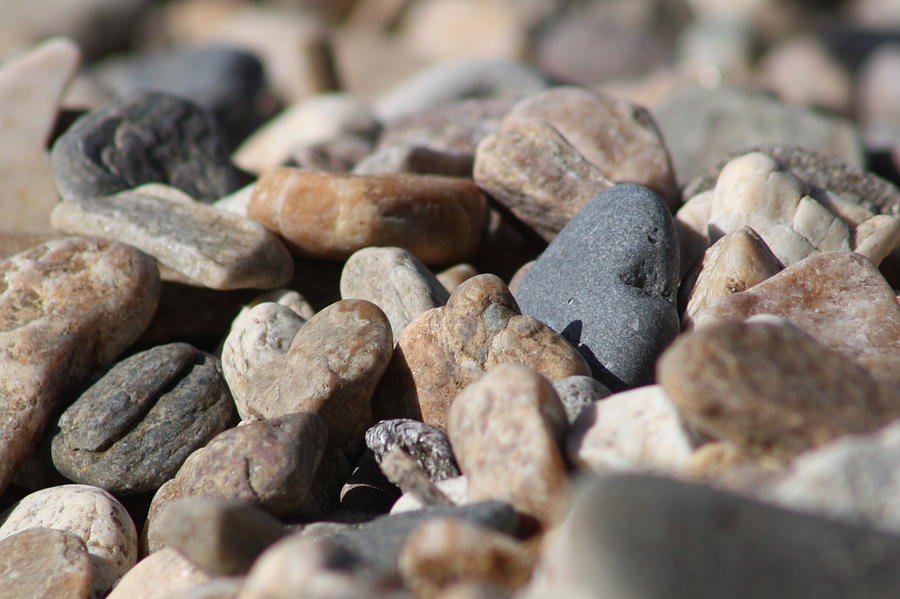 Pebbles Of My Heart Photograph by Cathie Douglas