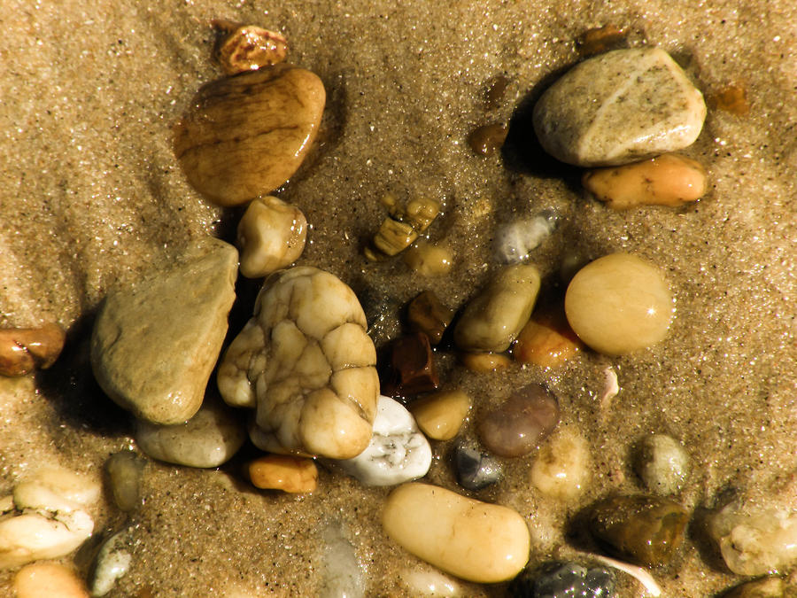 Pebbles Photograph by Trish Tritz