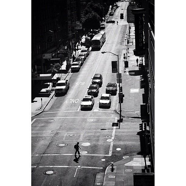 Blackandwhite Photograph - Pedestrian Crossing by David Root