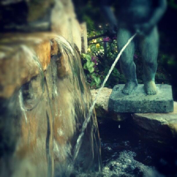 Nature Photograph - Peeing Fountain by Joanna Boot