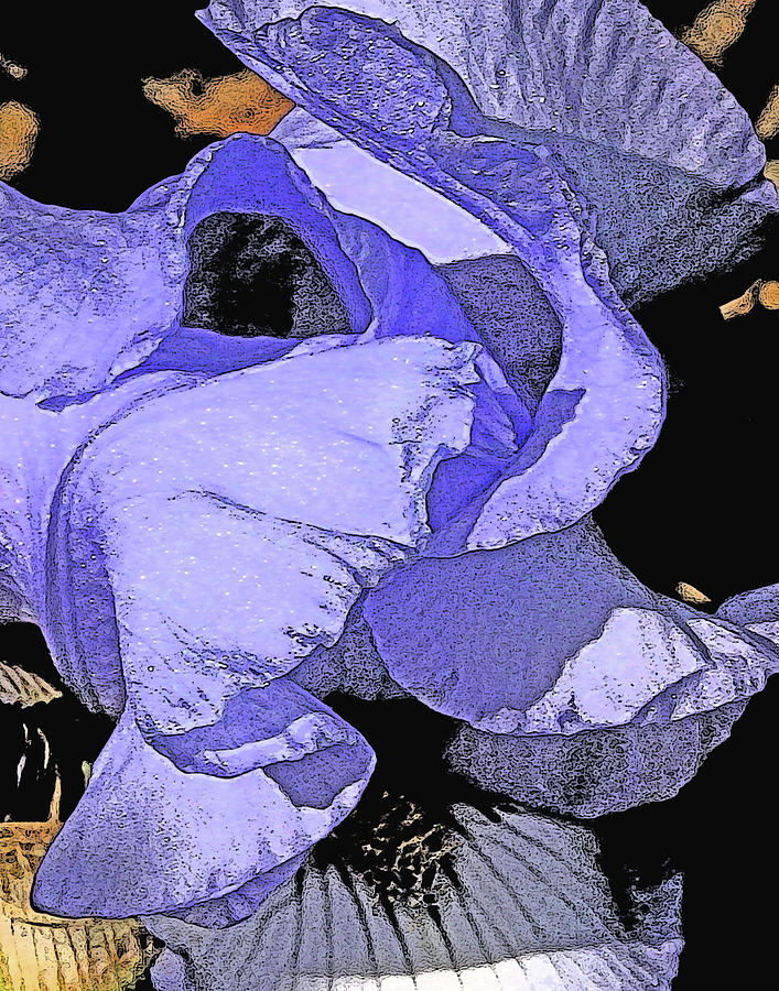 Iris Digital Art - Peek-a-Blue by Annie Johnson