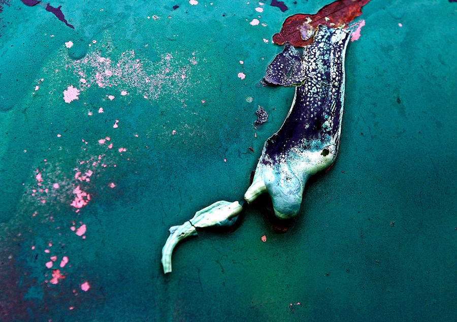 Peeling Paint Photograph by Jean Noren