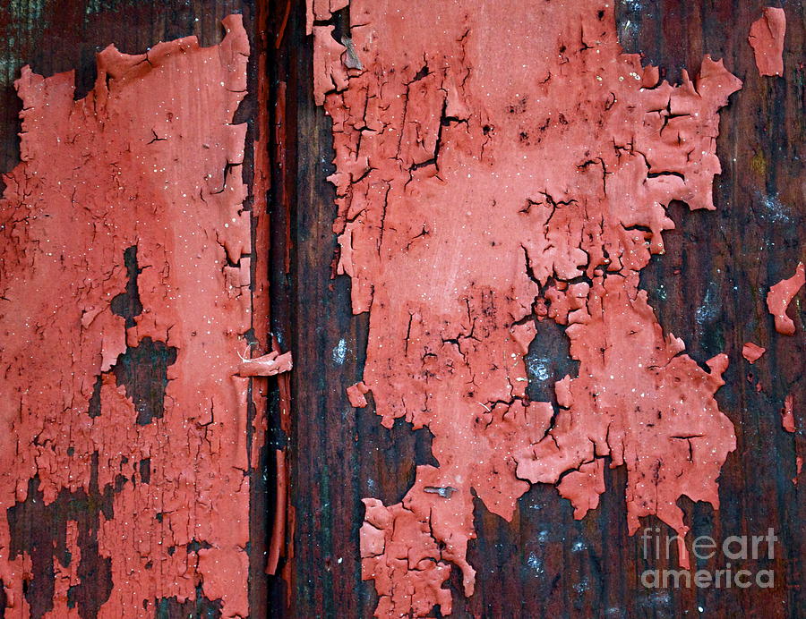 Peeling Red Paint Photograph by Gwyn Newcombe
