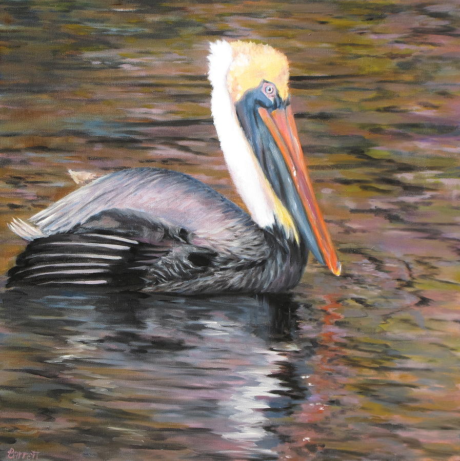 Pelican Painting  by Barrett Edwards