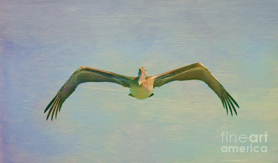 Pelican Photograph - Pelican Dreamy Feel by Deborah Benoit