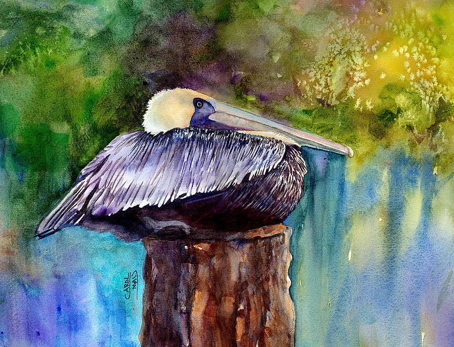 Pelican Resting Painting by Art by Carol May