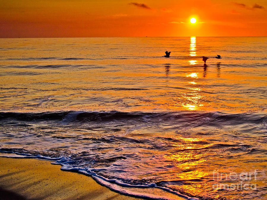Pelicans At Sunrise Photograph by Scott Moore