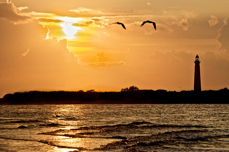 Pelicans into the Sunset Photograph by Stephen Johnson