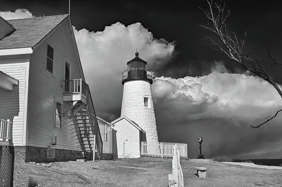 Pemaquid Point Lighthouse 4806 Photograph by Guy Whiteley