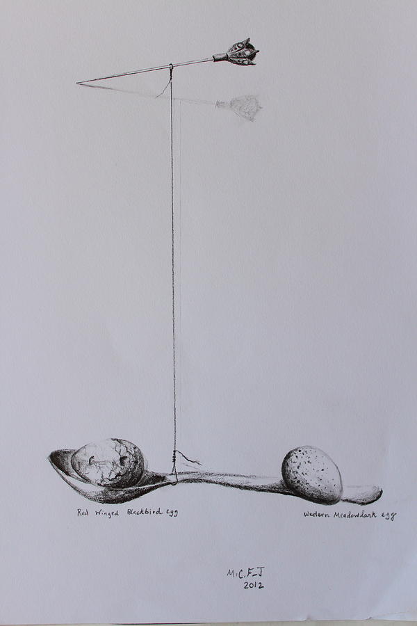 Pencil Study for Full of Wish Drawing by Mary C Farrenkopf