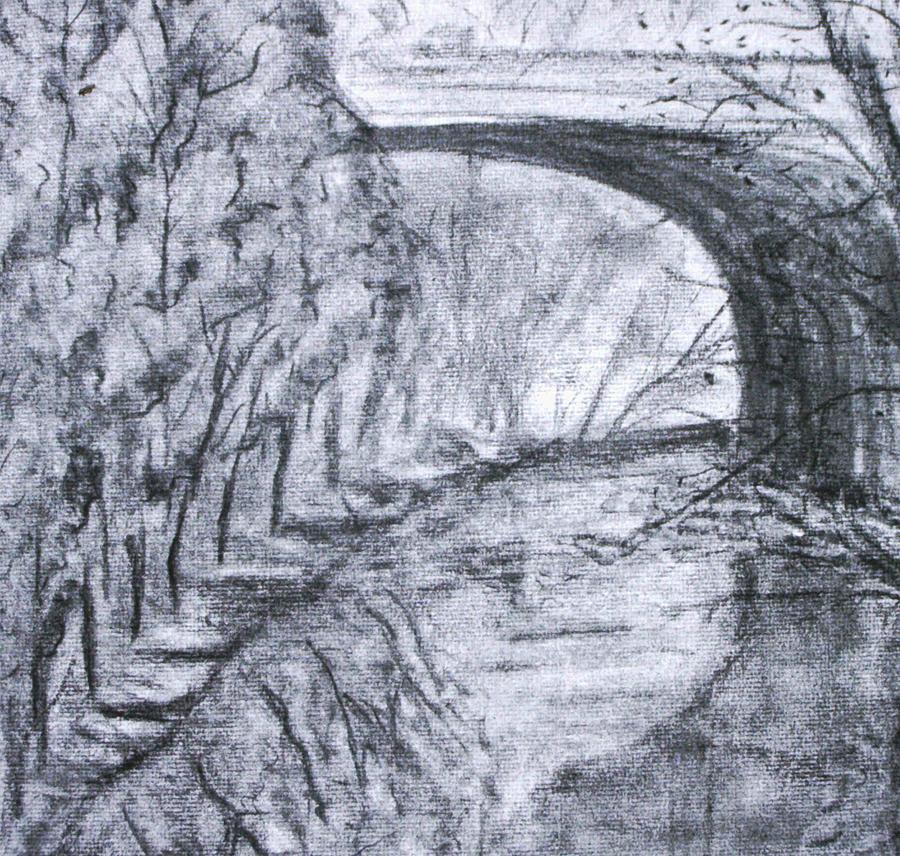 Pennypack Park Drawing by Vickie G Buccini
