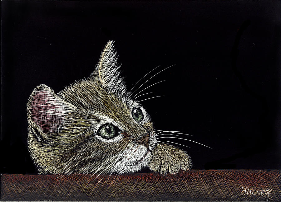 Wildlife Mixed Media - Pensive Kitten by Linda Hiller