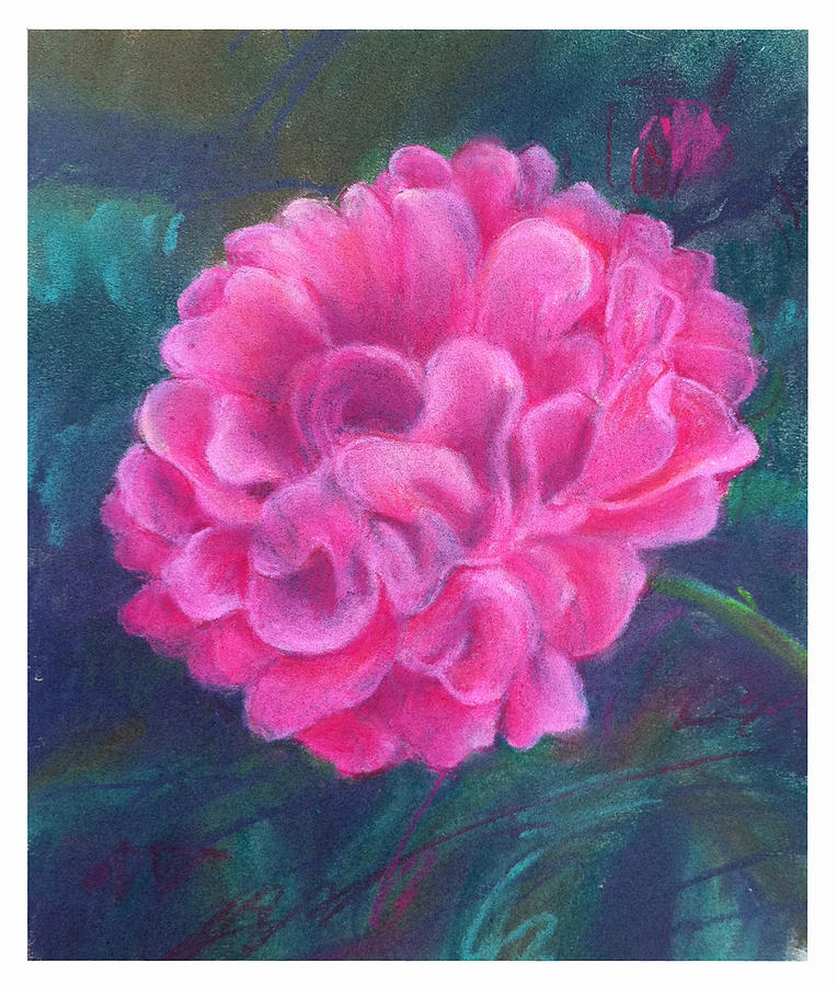 Peony - Indiana State Flower Painting by Thomas Dreesen