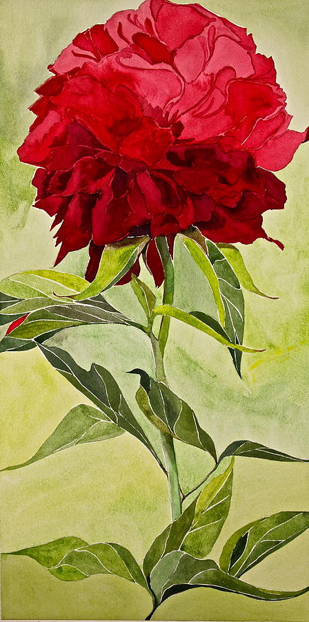 Peony-Posthumously presented paintings of Sachi Spohn  Painting by Cliff Spohn