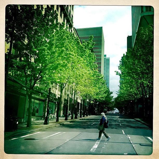 Tree Photograph - #people #street #city #seattle #trees by Kee Yen Yeo
