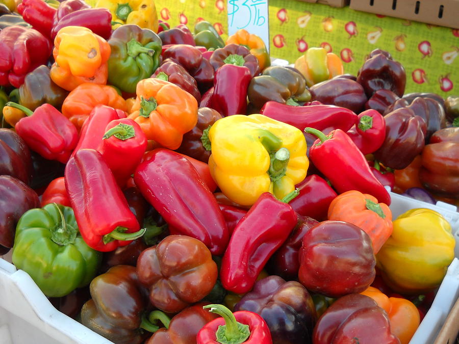 Peppers Photograph by Kathleen Fitzpatrick - Fine Art America