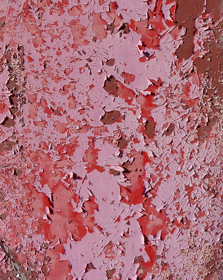 Pink Peeling Paint Photograph by Carla Parris
