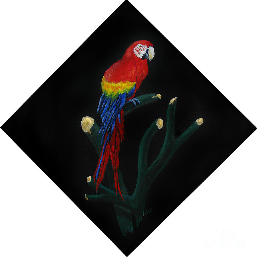 Macaw Painting - Perched Macaw Original by Peter Piatt