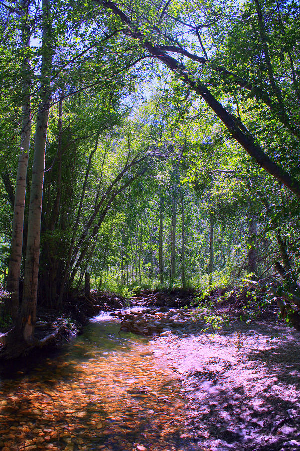 Perfect Place Photograph - Perfect Place by Goldie Pierce Perfect Place Photograph - Perfect Place by Goldie Pierce