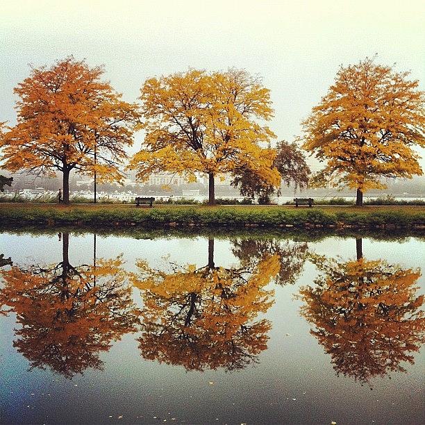 Boston Photograph - Perfect Symmetry #symmetry #boston by Khamid B
