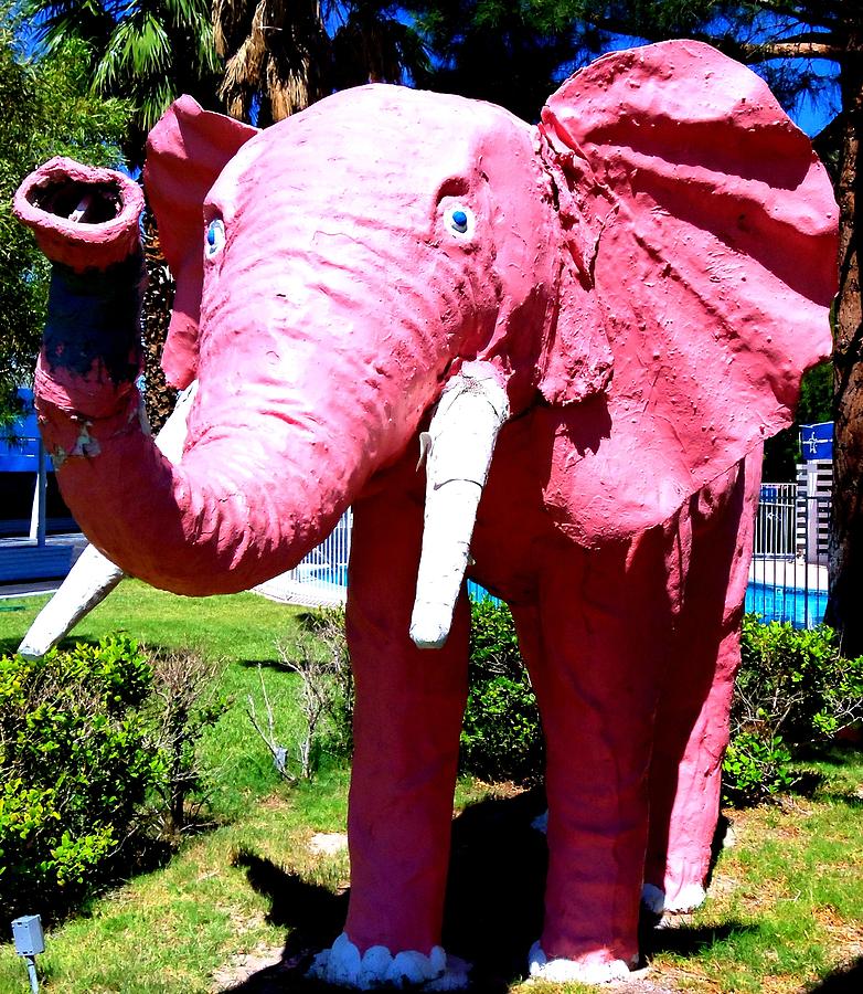 Performing Pink Elephant Photograph by Randall Weidner