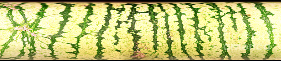 Peripheral Streak Image Of Watermelon Photograph by Ted Kinsman