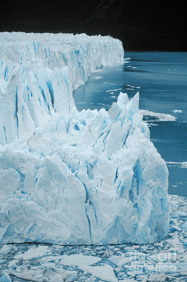 Perito Moreno Glacier - Argentina Photograph by Craig Lovell