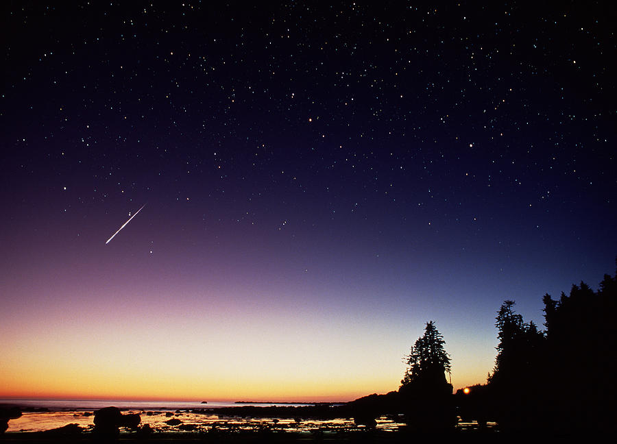 Perseid Meteor Photograph - Perseid Meteor Trail by David Nunuk