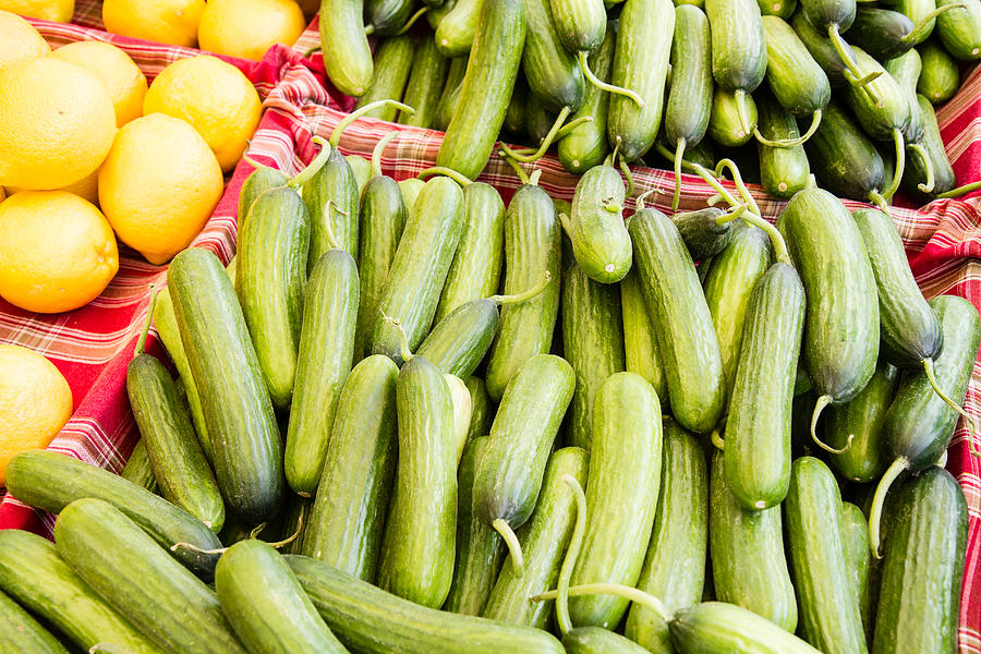 Persian cucumbers Photograph by Dina Calvarese