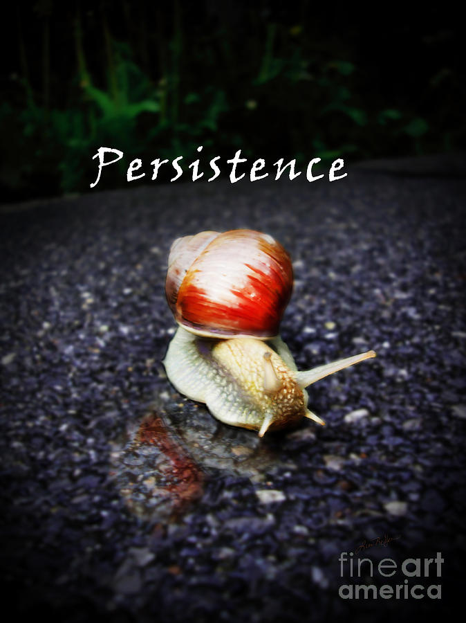 Persistence Digital Art by Lisa Redfern
