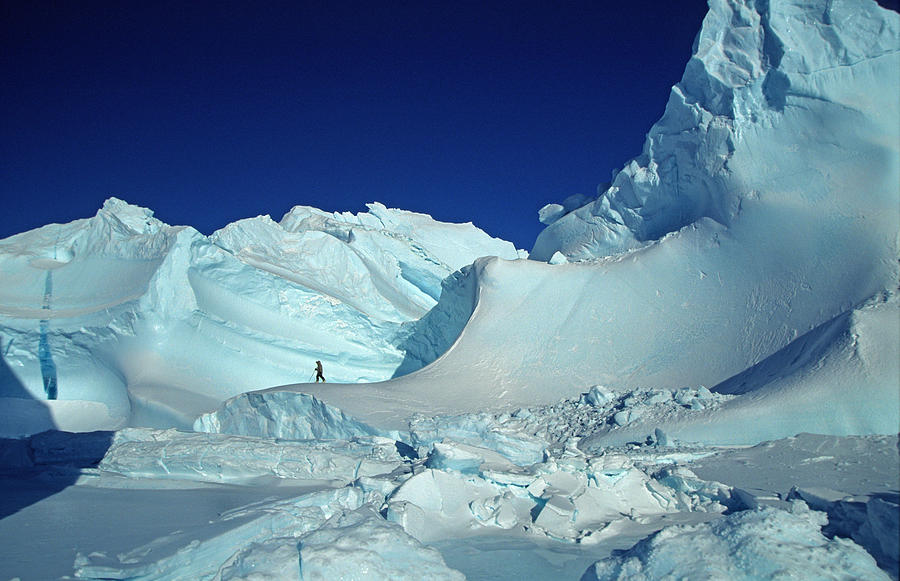 Person Walking Through Icebergs, Nunavut Photograph by Robert Postma ...