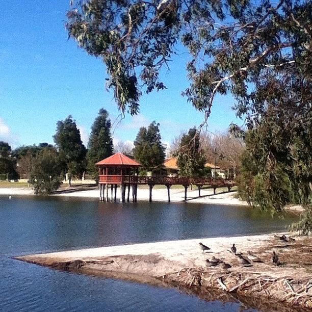 Nature Photograph - #perth #lakes #parks #nature by Kristie Brown