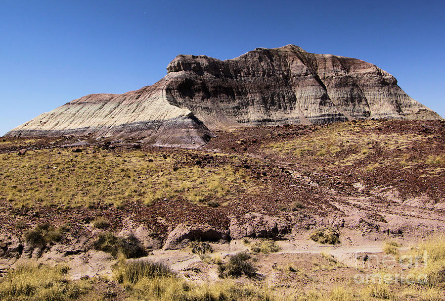 Petrified Forest National Park Photograph - Petrified Forest Badlands by Adam Jewell