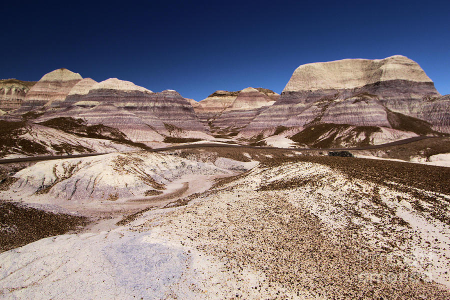 Petrified Forest National Park Photograph - Petrified Forest Blue Mesa by Adam Jewell
