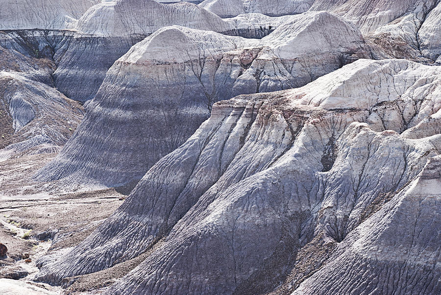 Petrified Forest National Park Photograph by Melany Sarafis