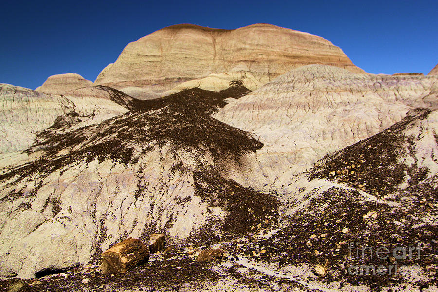 Petrified Forest National Park Photograph - Petrified Hills by Adam Jewell