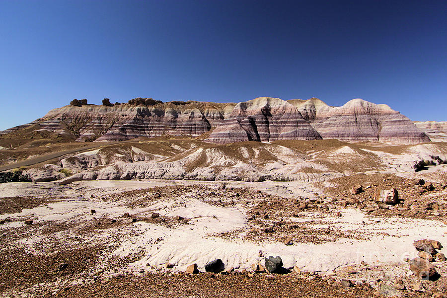 Petrified Forest National Park Photograph - Petrified Painted Desert by Adam Jewell