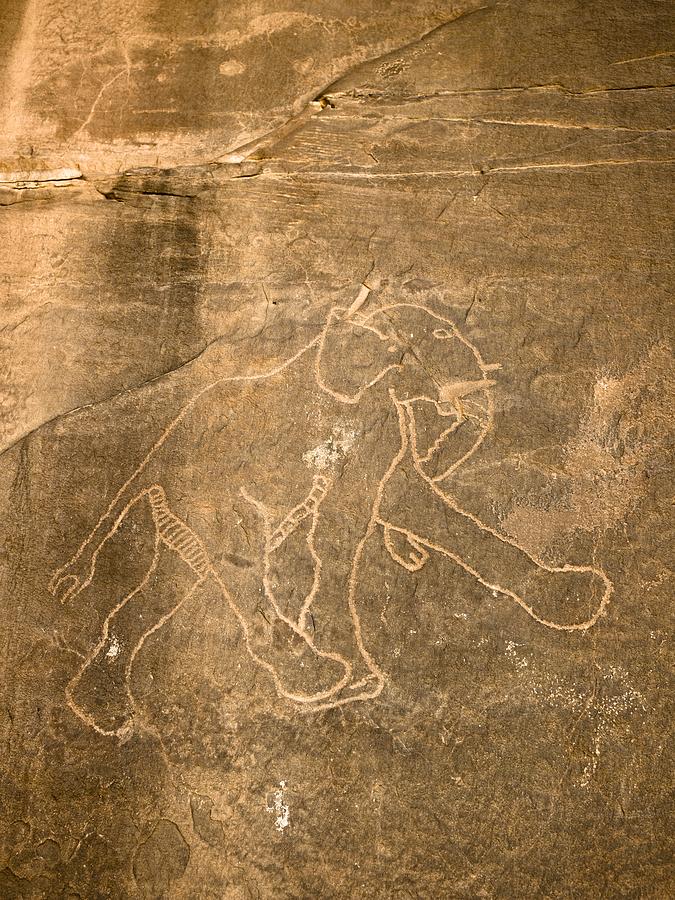 Petroglyph Of Running Elephant, Libya Photograph by David Parker