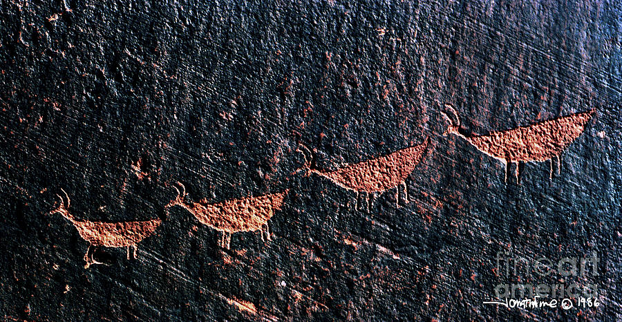 Petroglyphs1 Photograph by Jonathan Fine