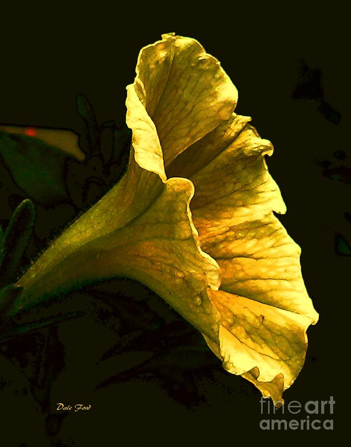 Flower Digital Art - Petunia by Dale   Ford